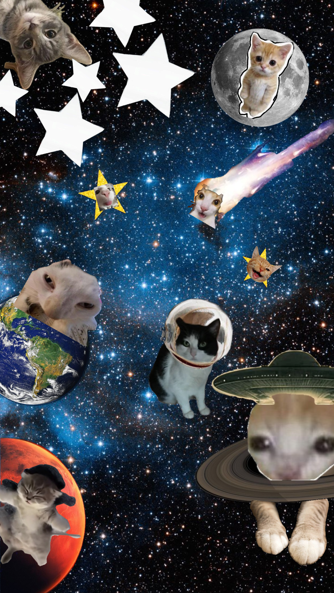 Space perspective